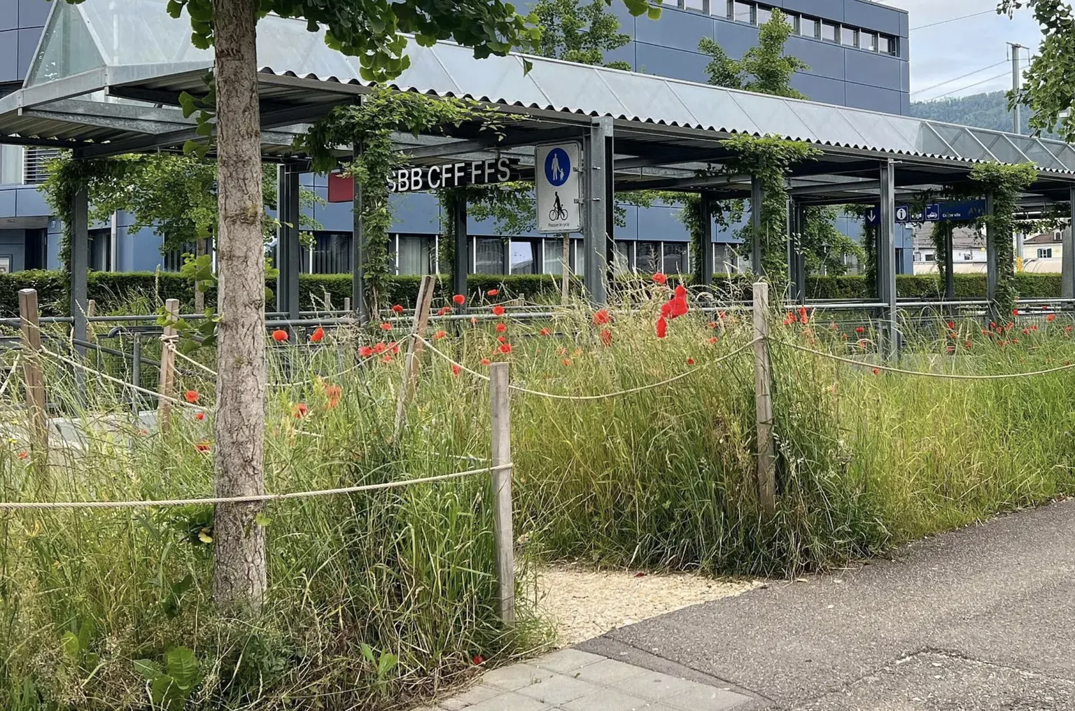 Gare CFF de Delémont: