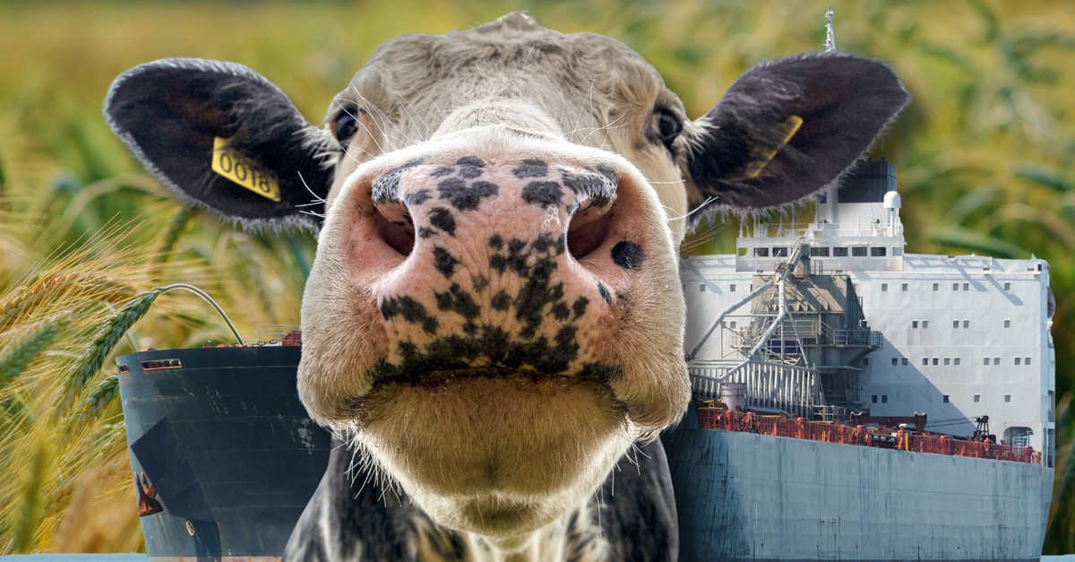 Fertilizer Supply Risks Persist from Ukraine War, Strait Tensions