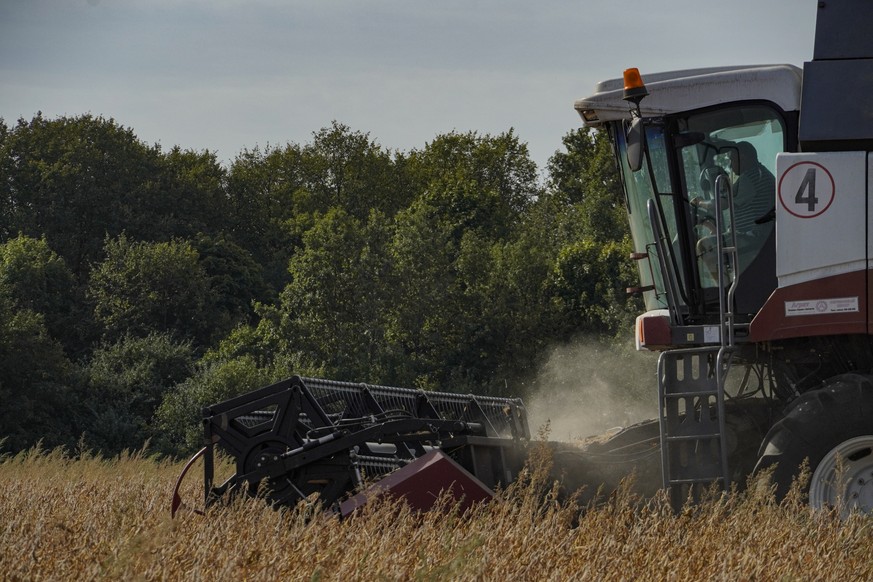 epa11599068 A harvest combine of the farming enterprise ?Perspektiva Agro? works on soybean field near Kursk, Russia, 11 September 2024 Since 06 August, fighting with the Ukrainian armed forces has be ...