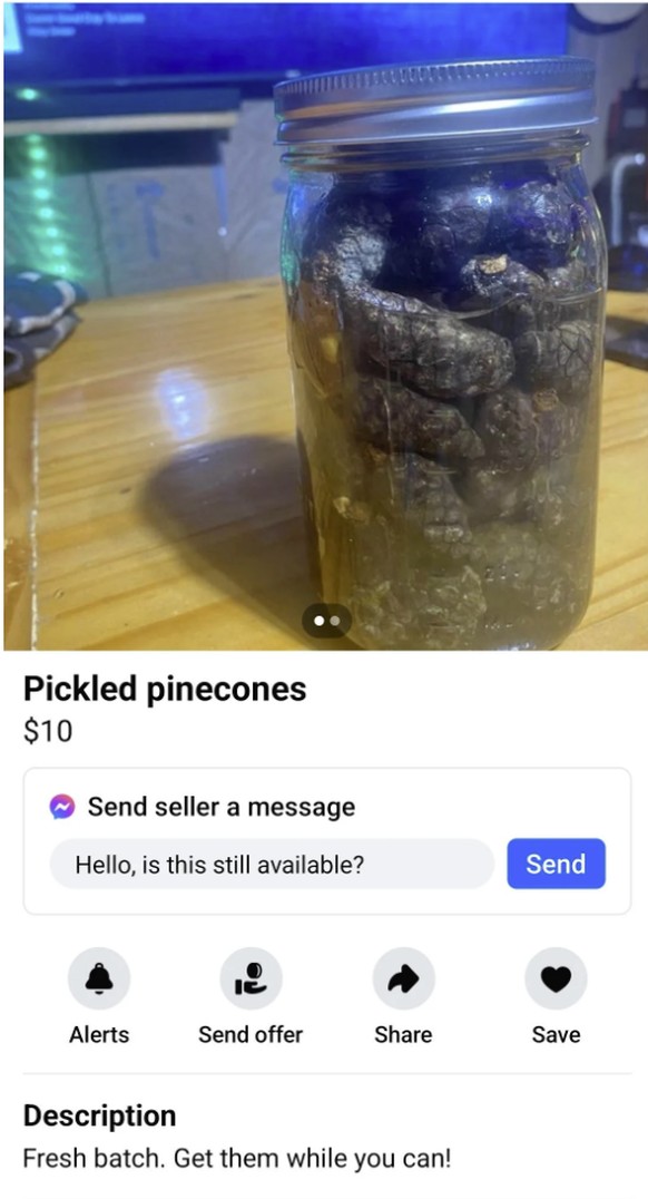 Irre Artikel auf Facebook Marketplace
