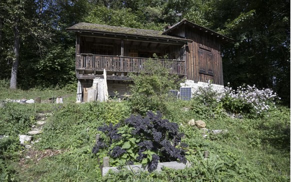 La cabane forestière officiellement fermée, associée à la première utilisation de la capsule mortelle « Sarco ».