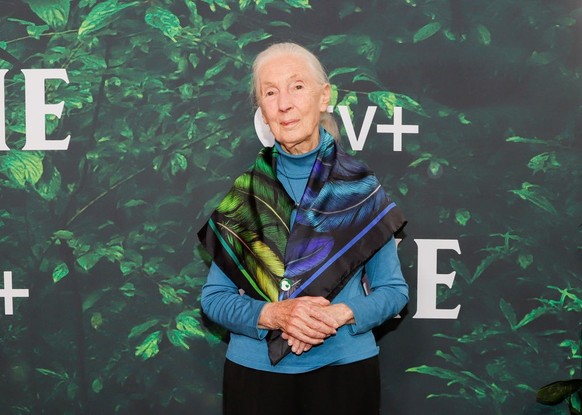 Dr. Jane Goodall at the premiere of &quot;Jane&quot; held at California Science Center on April 14, 2023 in Los Angeles, California. (Photo by River Callaway/Variety via Getty Images)
