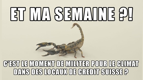 Climat, Credit Suisse, Horoscope, Scorpion