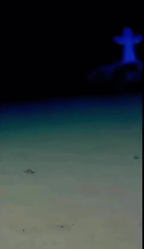 GIF animé