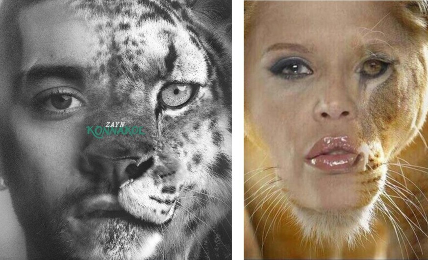 Le nouvel album de Zayn fait marrer la Toile