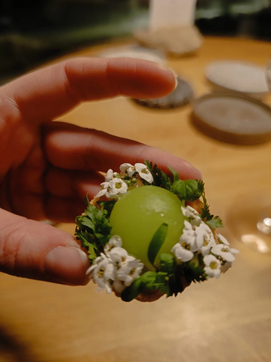 Dominik Hartmann, chef du restaurant végétarien «Magdalena» à Rickenbach, est sacré «Cuisinier de l’année 2027» par Gault Millau. Une première historique pour un établissement végétarien.