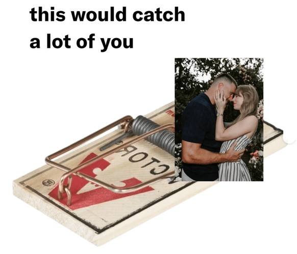 Taylor Swift Engagement Memes