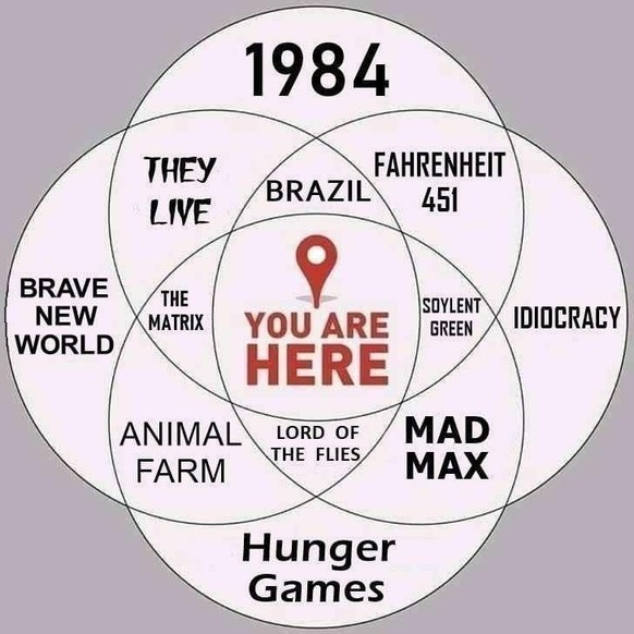 USA 2025 Meme