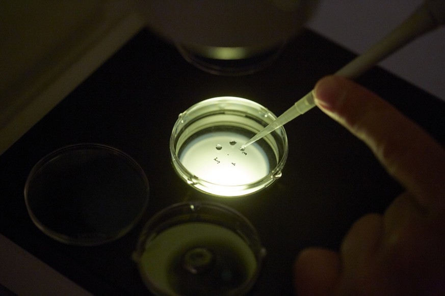 An employee fertilises egg cells with sperm, which is in a stable syringe, at the GYN-A.R.T. center for gynaecology, reproductive medicine, microsurgery, minimally invasive surgery and reproductive bi ...