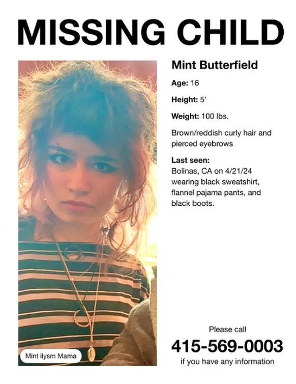 La disparition de Mint a été signalée le 22 avril, au matin.