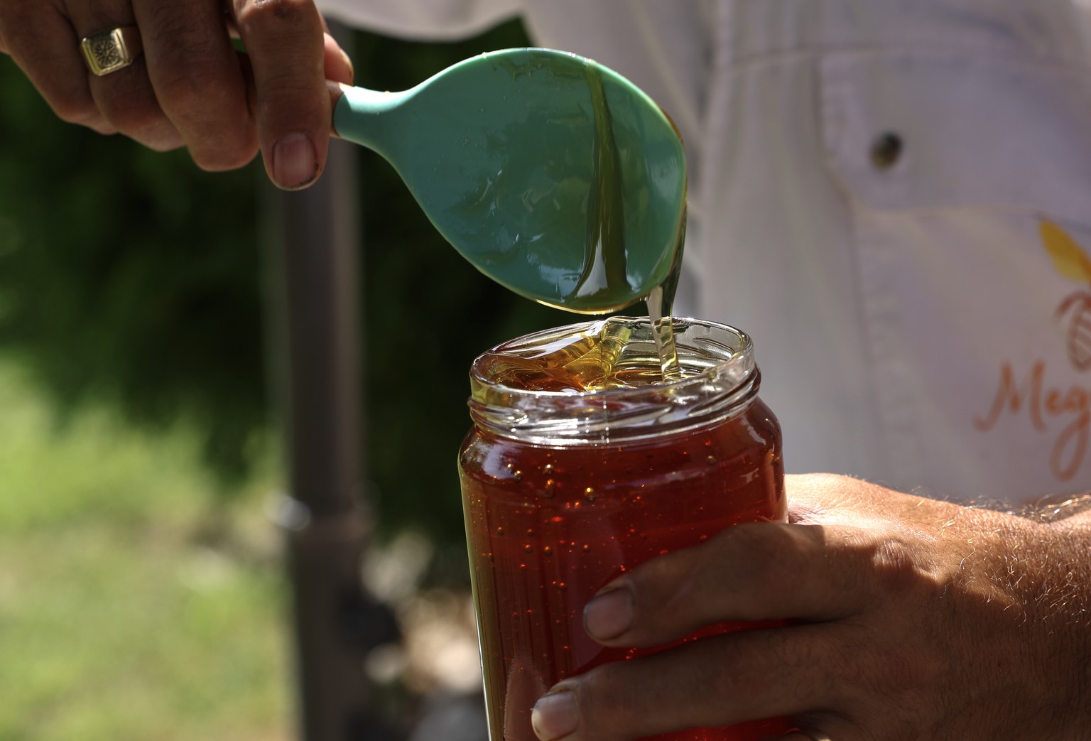 epa11591653 Beekeeper Vanco Kirovski fills a jar with raw honey during the season&#039;s last honey extraction, next to the village of Dolni Balvan, near Kocani, Republic of North Macedonia, 07 Septem ...