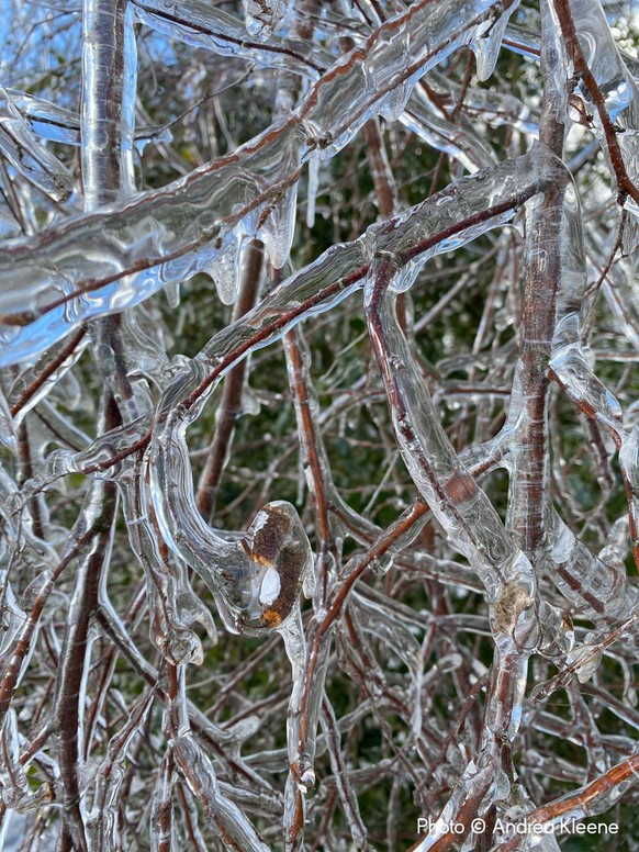 The Ice Storm by Andrea Kleene
Finalist, Smartphone category