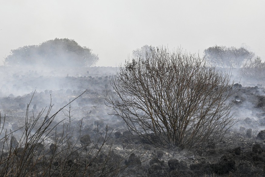 Fire in the Belgian High Fens JALHAY, BELGIUM - AUGUST 15 : An important fire has broken out in the Belgian High Fens on August 15, 2026 in Jalhay, Belgium, 15/08/2026 Jalhay Belgium PUBLICATIONxNOTxI ...