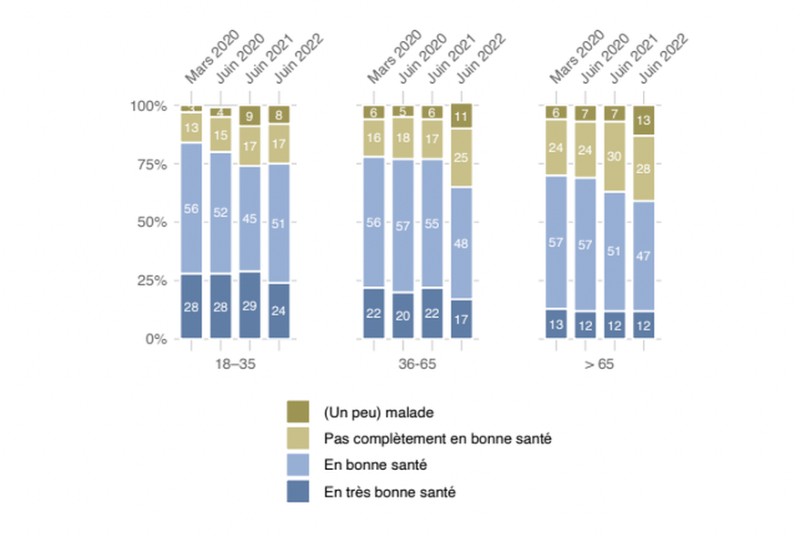 Propre état de santé : en fonction de l’âge