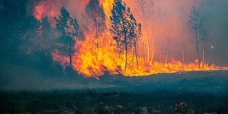 «Un désastre absolu»: 4 points sur les méga-incendies en Gironde
