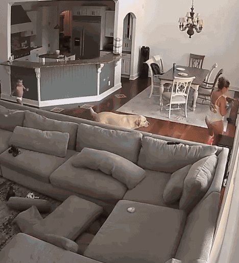 GIF animé