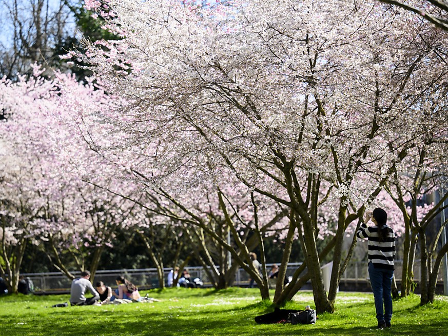 Pas loin de 20 degrés en Suisse pour ce premier jour de printemps.