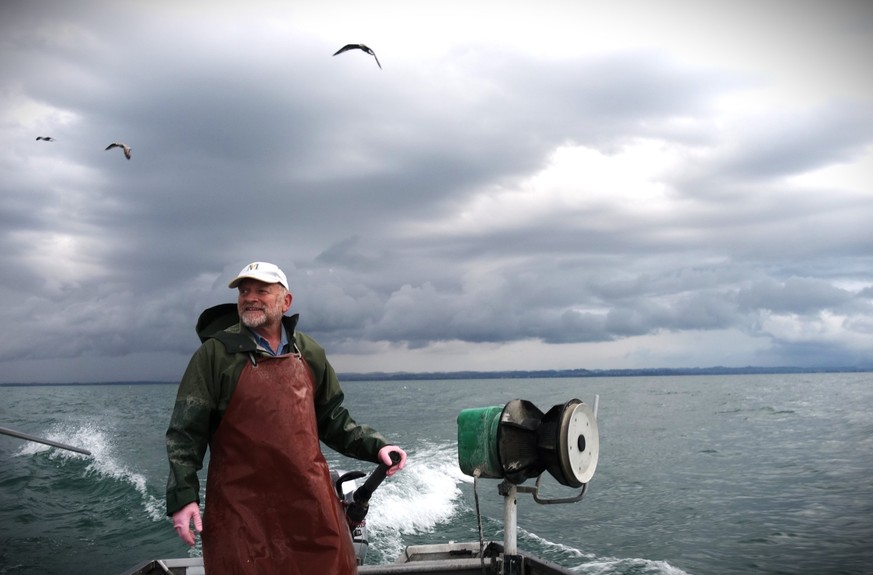 Felchensterben im Bodensee. Eine Reportage mit Berufsfischer Gallus Baumgartner, 31. August 2023