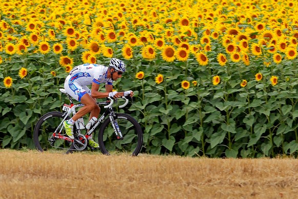 BLAGNAC, FRANCE - JULY 20: Sandy Casar of France riding for FDJ-Big Mat makes an attack as he passes through a field of sunflowers during stage eighteen of the 2012 Tour de France from Blagnac to Briv ...