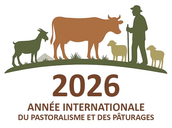 Logo année internationale du pastoralisme.