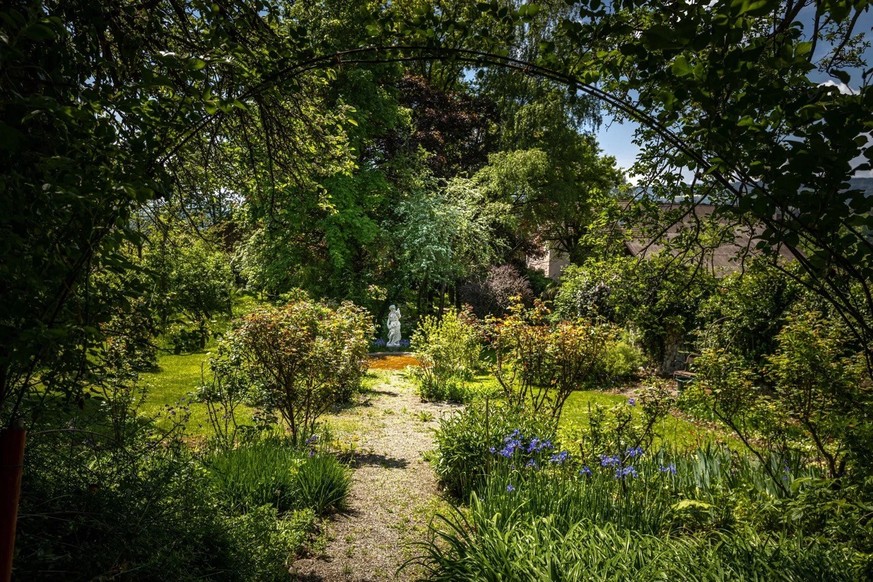 Une allée en gravier dans un jardin un peu sauvage.