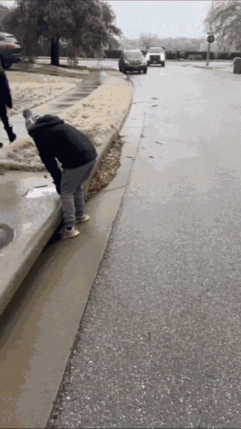GIF animé