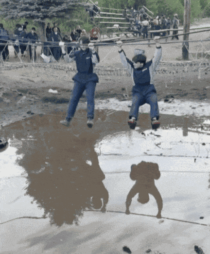 GIF animé