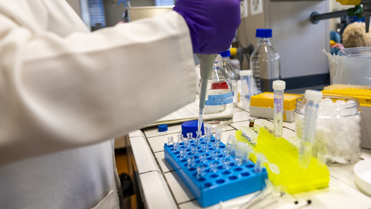Ce virus a été détecté chez un humain pour la première fois