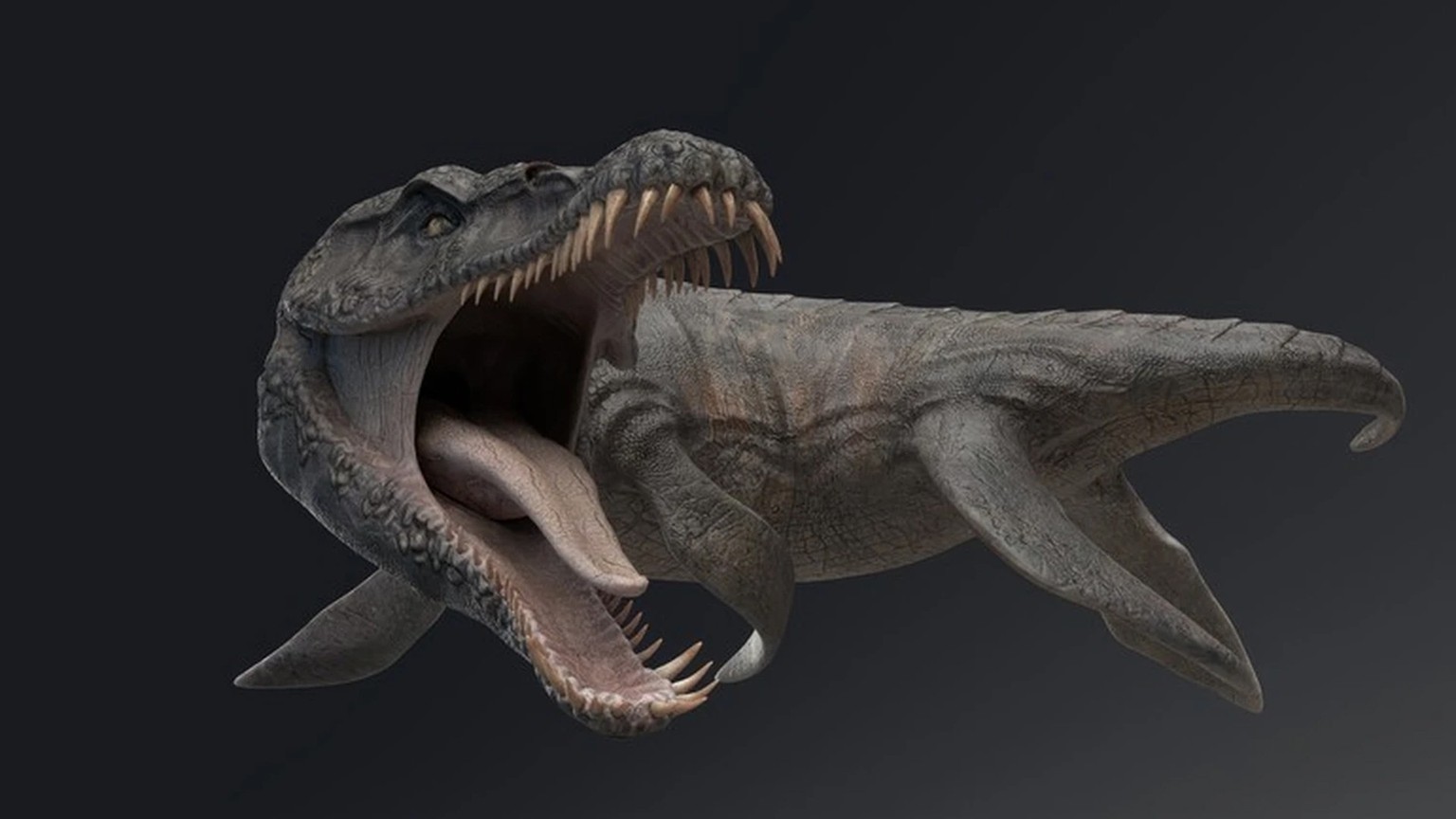 Le pliosaure a dominé les mers et les océans au cours du Mésozoïque (−252,2 à −66,0 Ma). Il mesurait mesurait entre 10 et 12 mètres de long et, comme tous les prédateurs, était taillé pour la chasse.