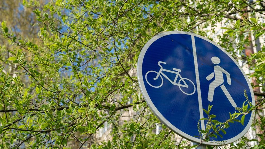 cycliste piéton zurich arbre verdure