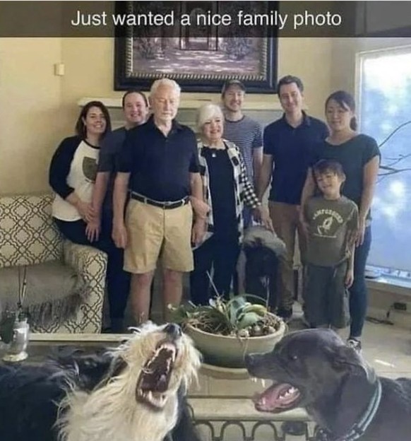 Familien-Foto-Fail an Weihnachten
