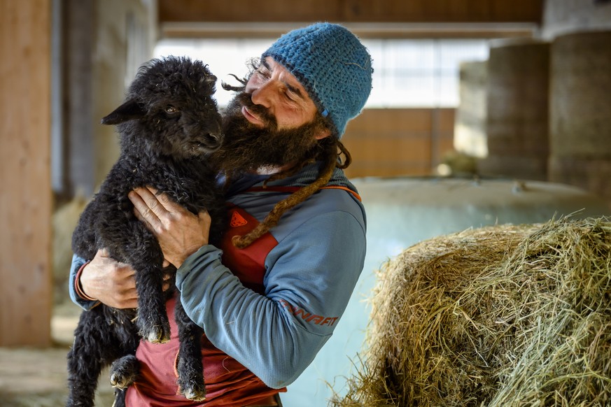 Damien Jeannerat, pose avec &quot;Zelda&quot; un agneau de la bergerie de Naye le mardi 12 mars 2024 a Mollens sur la commune de Crans-Montana en Valais. Parrainer un mouton ou une chevre et du meme c ...