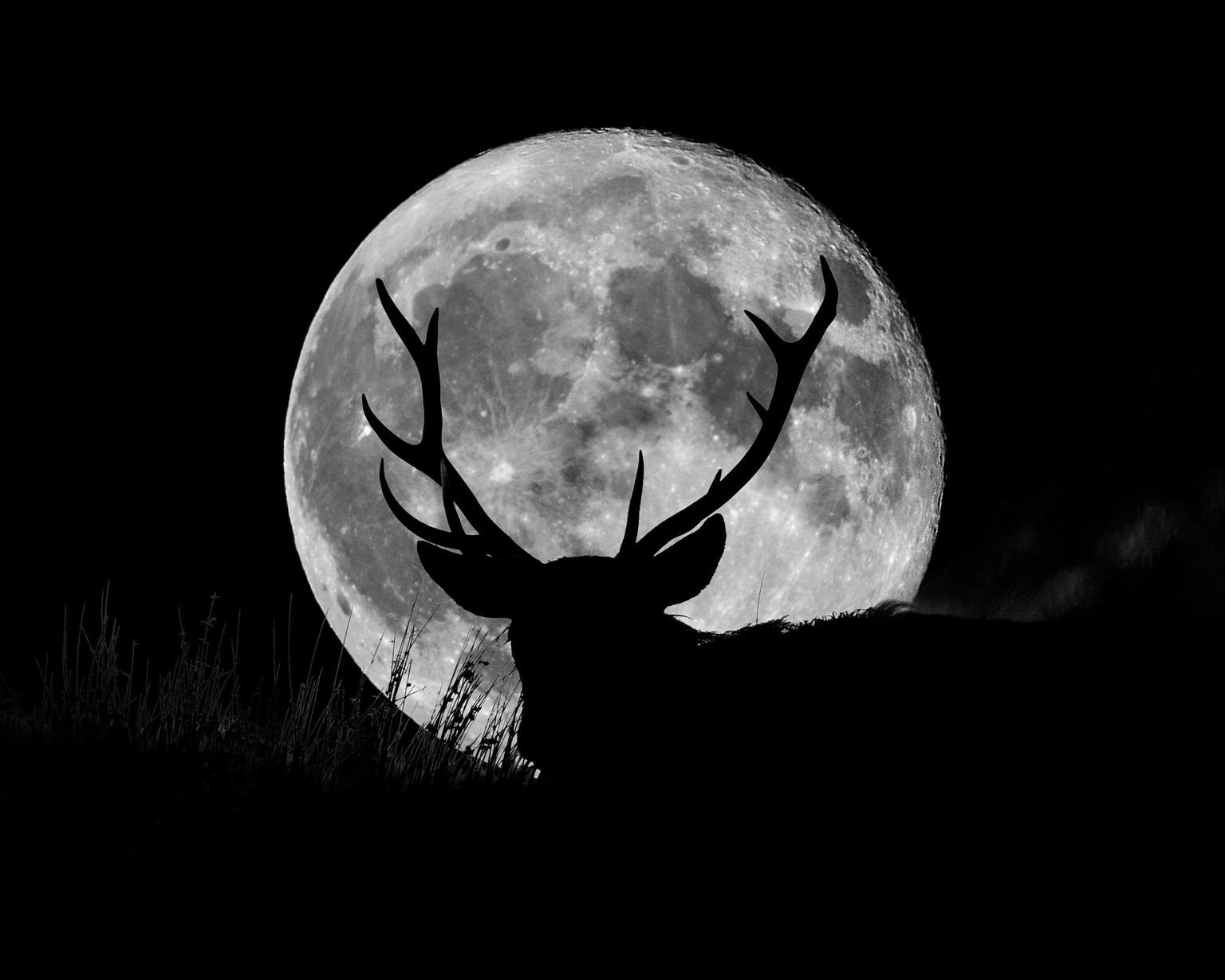 A full supermoon with the silhouette of a wild stag on a hill at night.
English Peak District