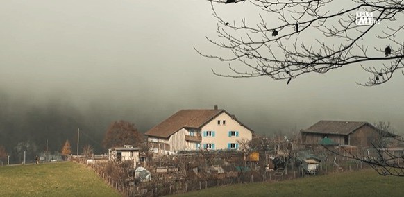 Dans cette ferme de Ramiswil, vivaient des animaux malnutris, sous-alimentés et malades.