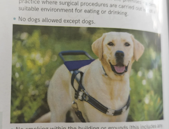 Die lustigsten Fails der Woche: Hund nicht erlaubt ausser Hunde
