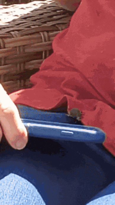GIF animé