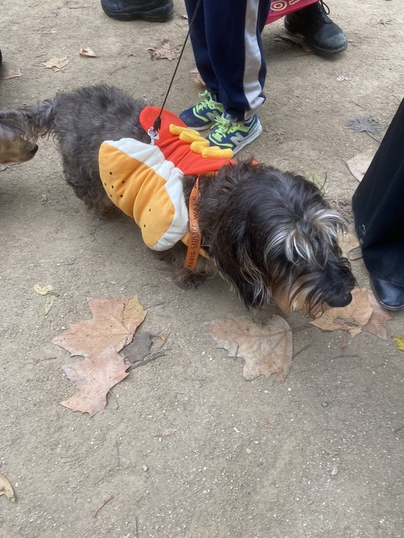 Paris Sausage Walk 2024