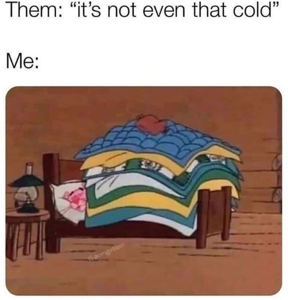 Winter Memes