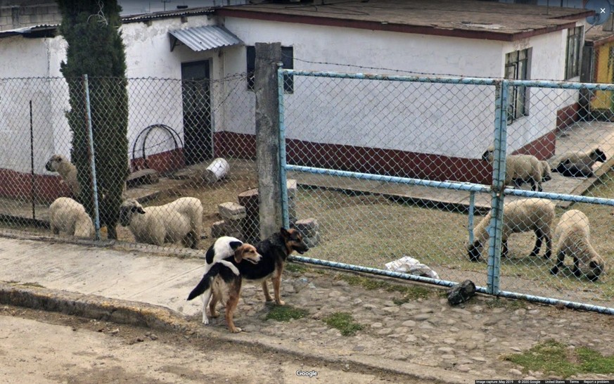 Weird shit on google street view 
https://9-eyes.com/