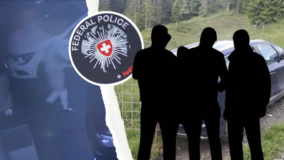 Vols de voitures et d'armureries: la police identifie 360 &laquo;soldats&raquo;