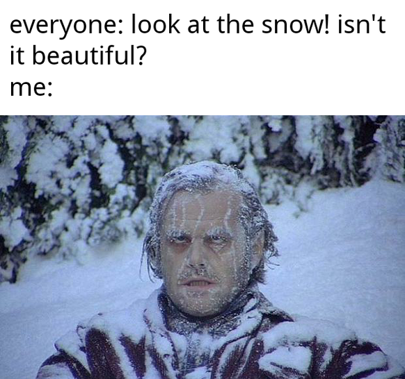 Winter-Memes für Schnee-Hasser