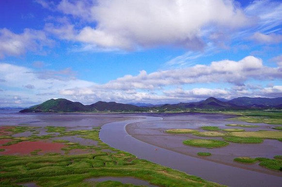 La baie de Suncheonman