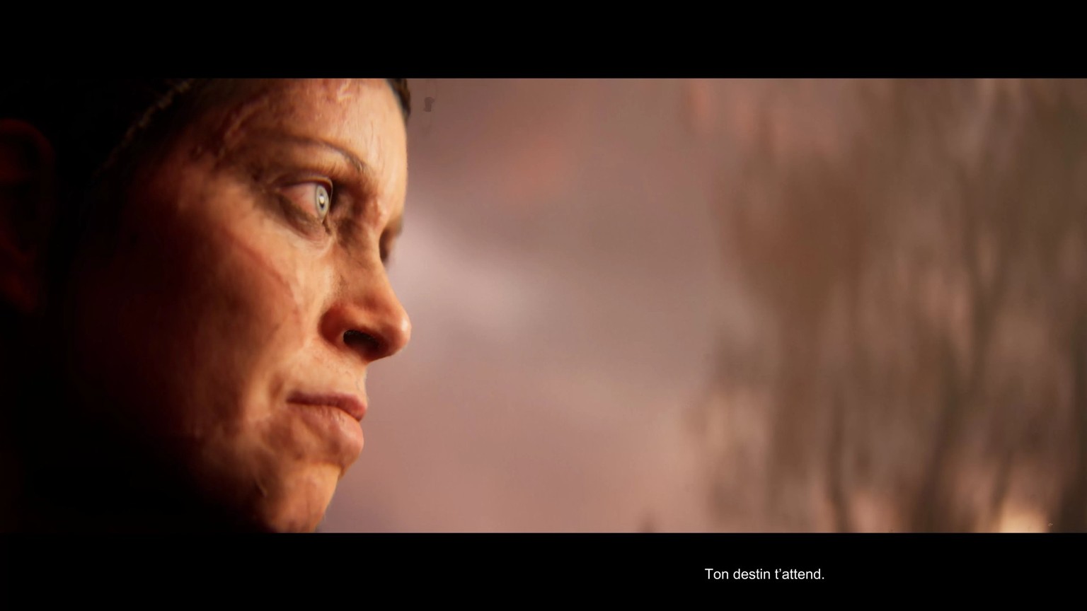 Capture d&#039;écran de Hellblade 2