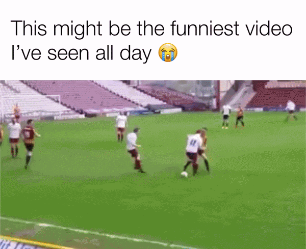 GIF animé
