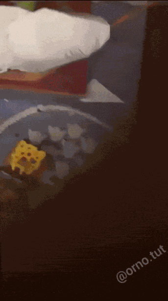 GIF animé