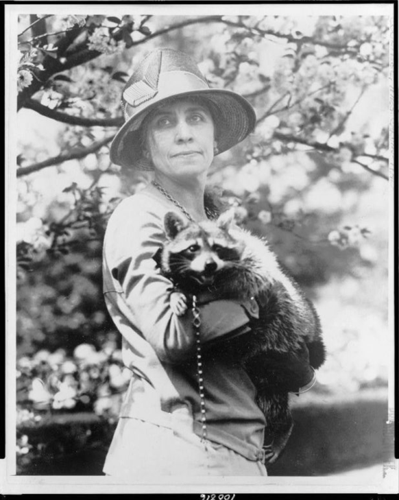 La première dame Grace Coolidge avec Rebecca, le raton laveur de la famille.