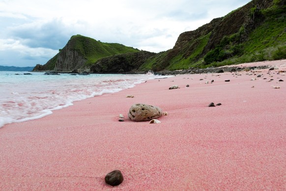 Nahaufnahme des schönen rosafarbenen Sandes am Pink Beach im Komodo Nationalpark in Flores, Indonesien, Indonesien