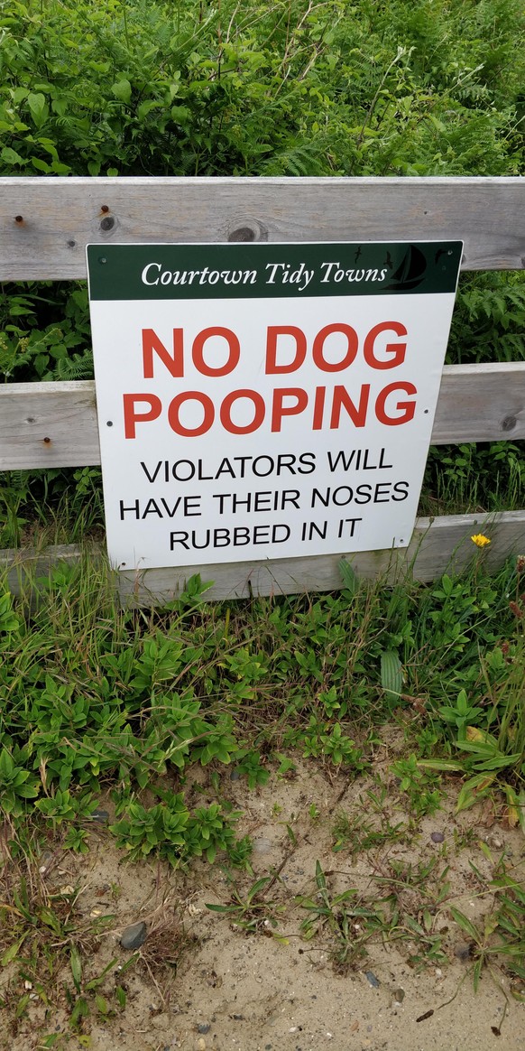 <strong>«Les chiens ne sont pas autorisés à faire leurs besoins ici. S'ils le font, on leur mettra le nez dans le caca.»</strong>
