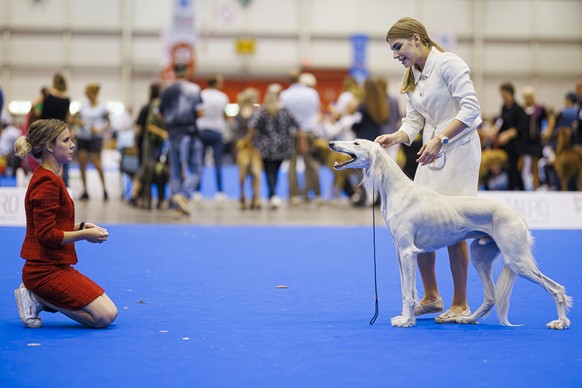 Women pose their dog for pictures during the "world dog show 2023" competiton in Geneva, Switzerland, Saturday, August 26, 2023. Participants from 80 countires are presenting over 21'50 ...