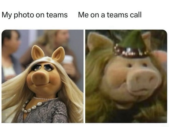 Lustige Memes bei der Arbeit